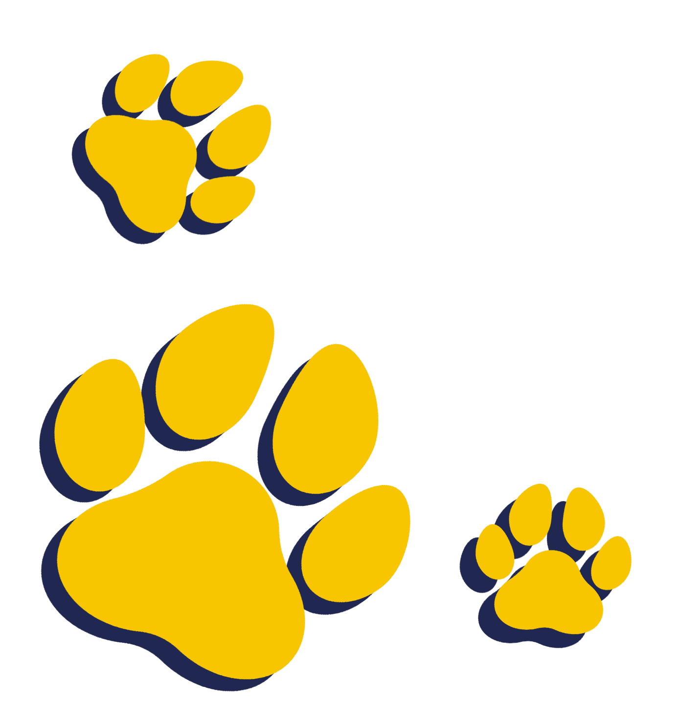 yellow paw vector